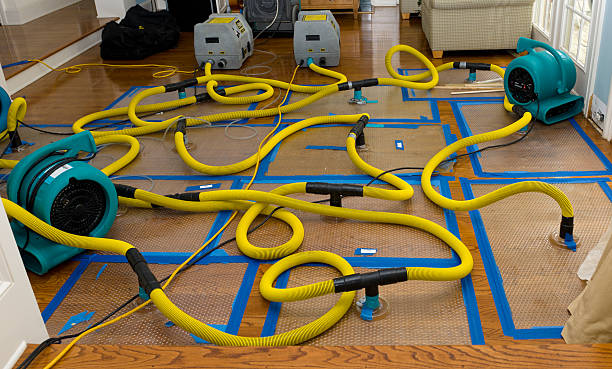 Professional Sewage Cleanup technician working in Attleboro Falls, MA